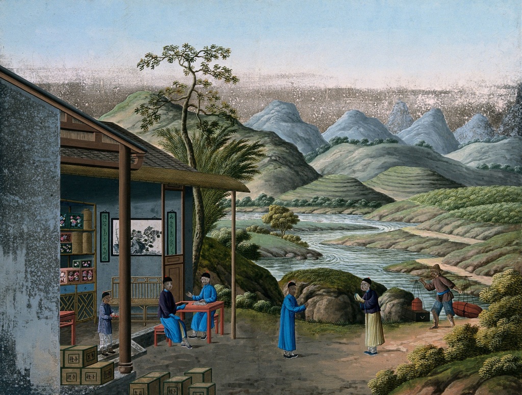 The Early History of Tea