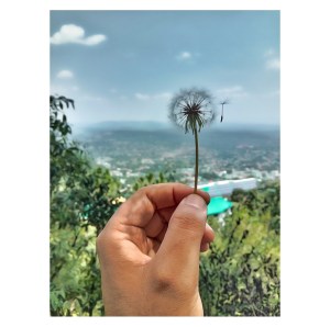 An essay on photography