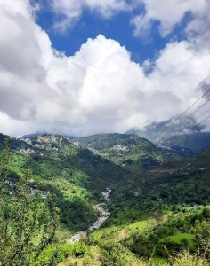 Dharamshala himalaya nature