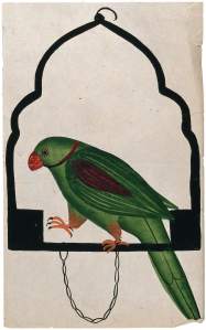 Hiramani parrot in padmavat