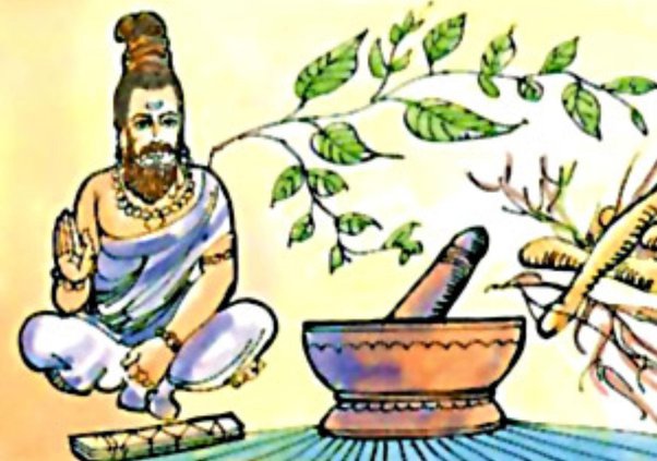 image of making soma rasa