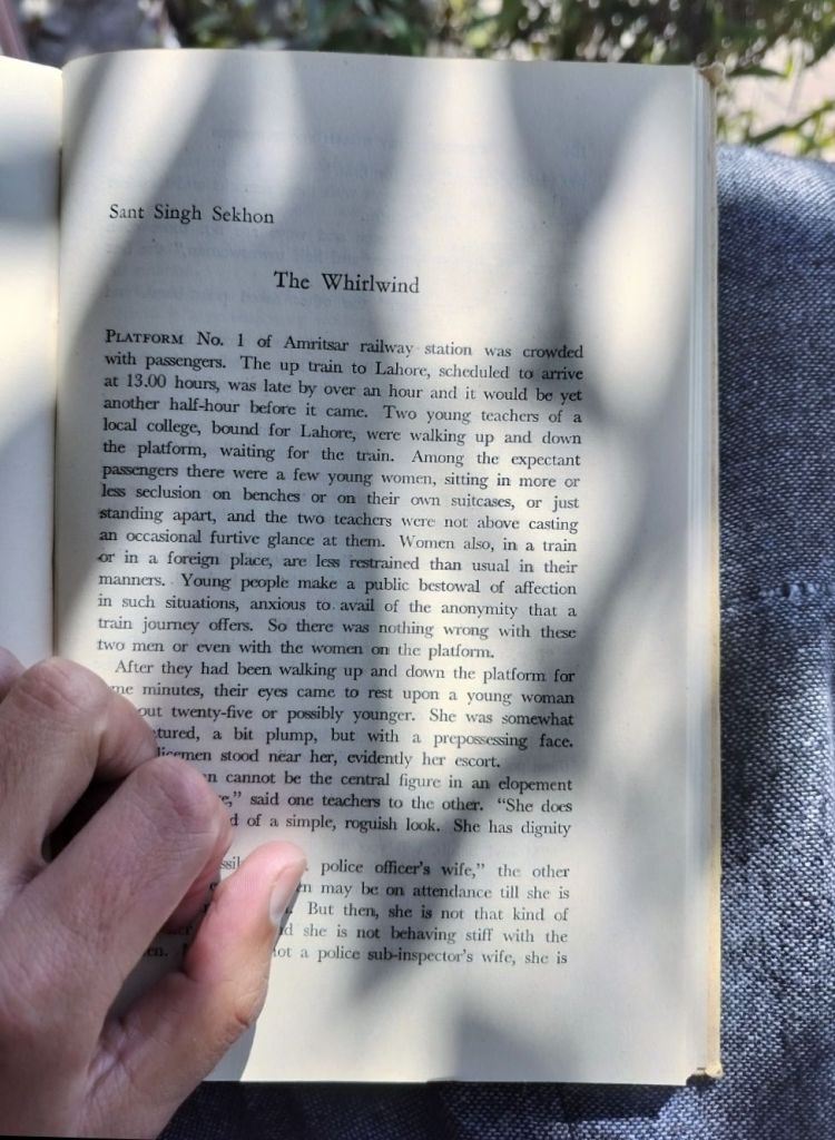 The Whirlwind by Sant Singh Sekhon