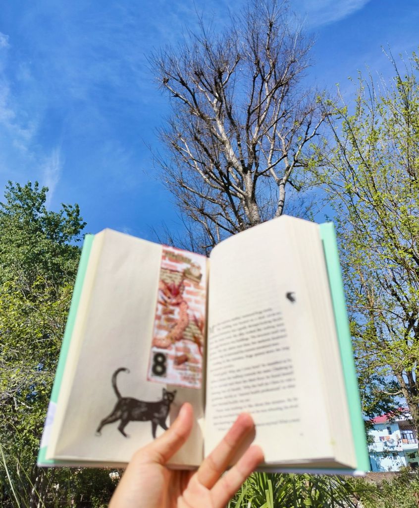 Interior art of the book We'll Prescribe You a Cat by Syou Ishida