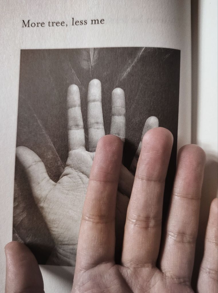 How to Forget by Meera Ganapathi